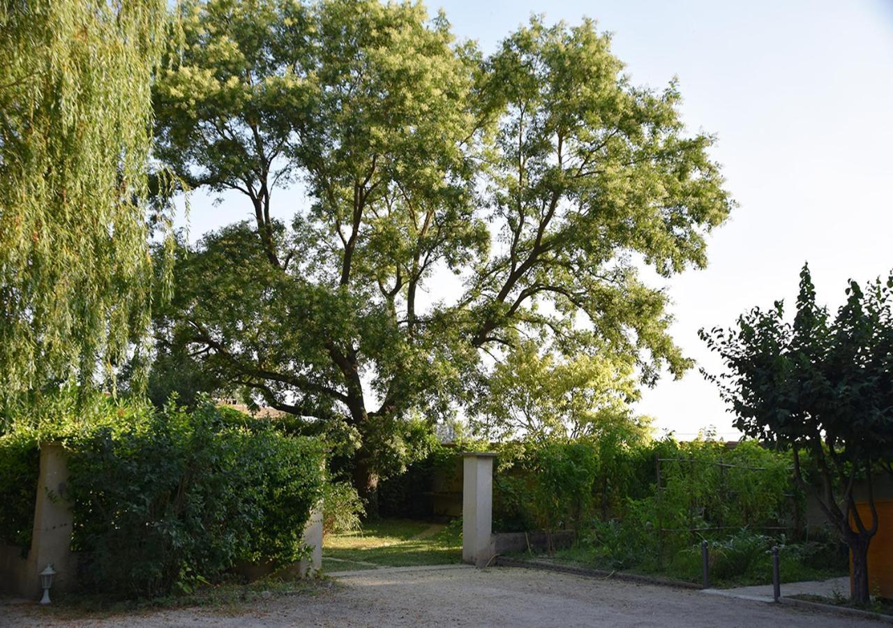 La Maison Des Invites Pernes-les-Fontaines Exterior foto